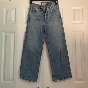Agolde Hi Rise Wide Leg Jeans